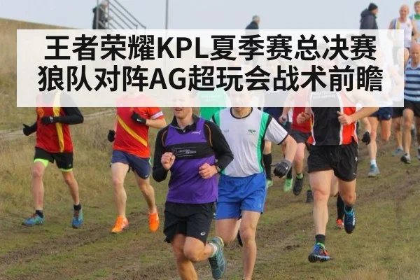 王者荣耀KPL夏季赛总决赛狼队对阵AG超玩会战术前瞻