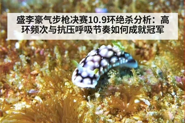 盛李豪气步枪决赛10.9环绝杀分析:高环频次与抗压呼吸节奏如何成就冠军